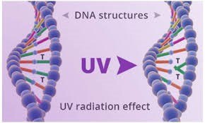 UV-C Germicidal Light - New Solution - Alrad