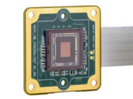 DMM 37MR0234-ML    Embedded MIPI monochrome board camera - Alrad